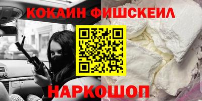 гашик Будённовск