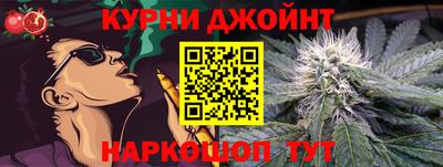 гашик Будённовск