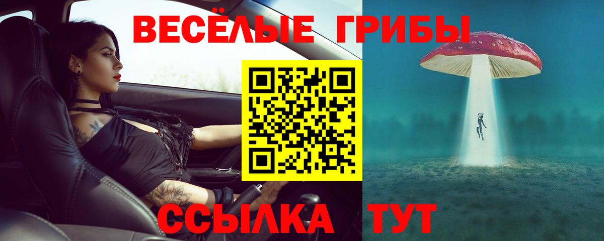 Галлюциногенные грибы GOLDEN TEACHER  Галлюциногенные грибы мицелий  Сызрань  Вход с VPN 